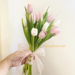 Hoa Cưới Tulip mix 2 màu