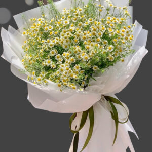 Bó Hoa Cúc Tana - M